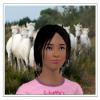 Creinblan Sims