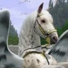 Silmaril 13