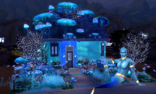 Plus d’informations sur «&nbsp;Cabane Aladin De La Lampe&nbsp;»