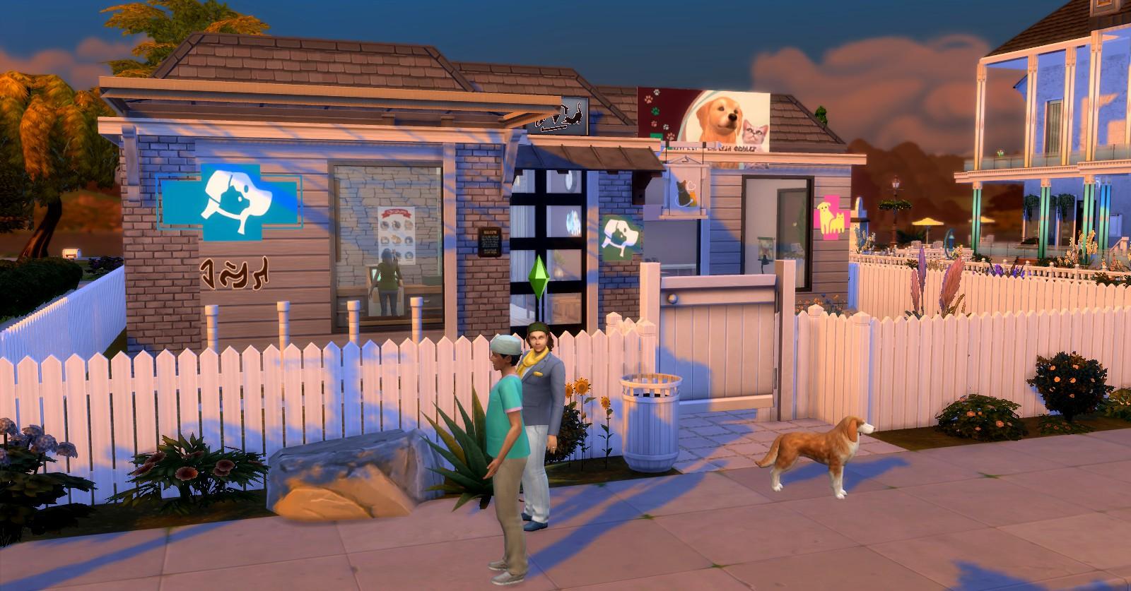 Bobos dog's cat's and other