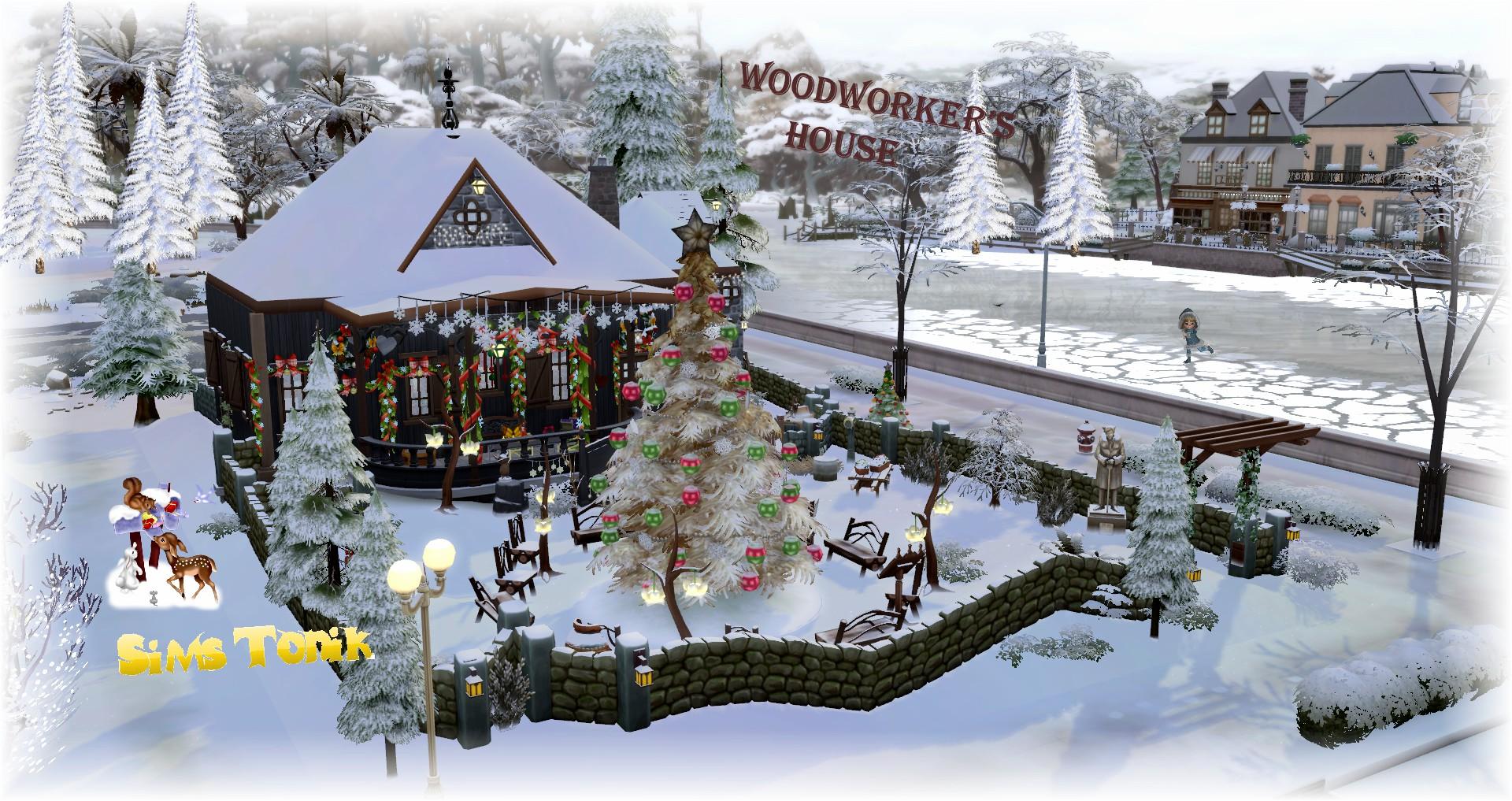Woodworker's house