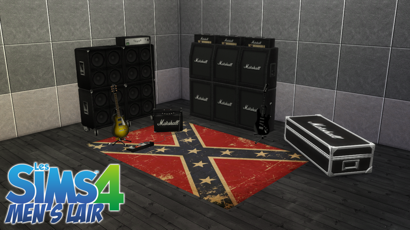 Marshall Flycase and Ampli
