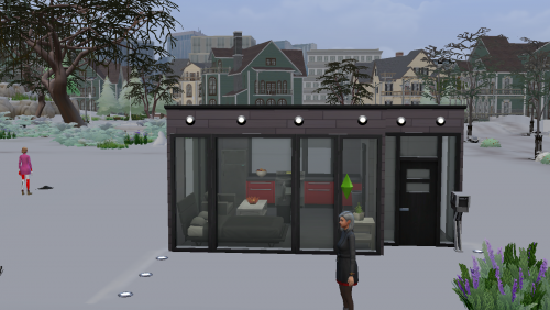 Plus d’informations sur «&nbsp;Modern black tiny house&nbsp;»
