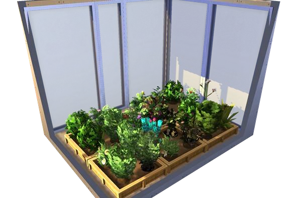 Plants Parfaits Greffés - Tous Packs