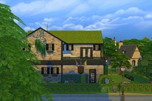 Aile sombre - BRITCHESTER NO CC