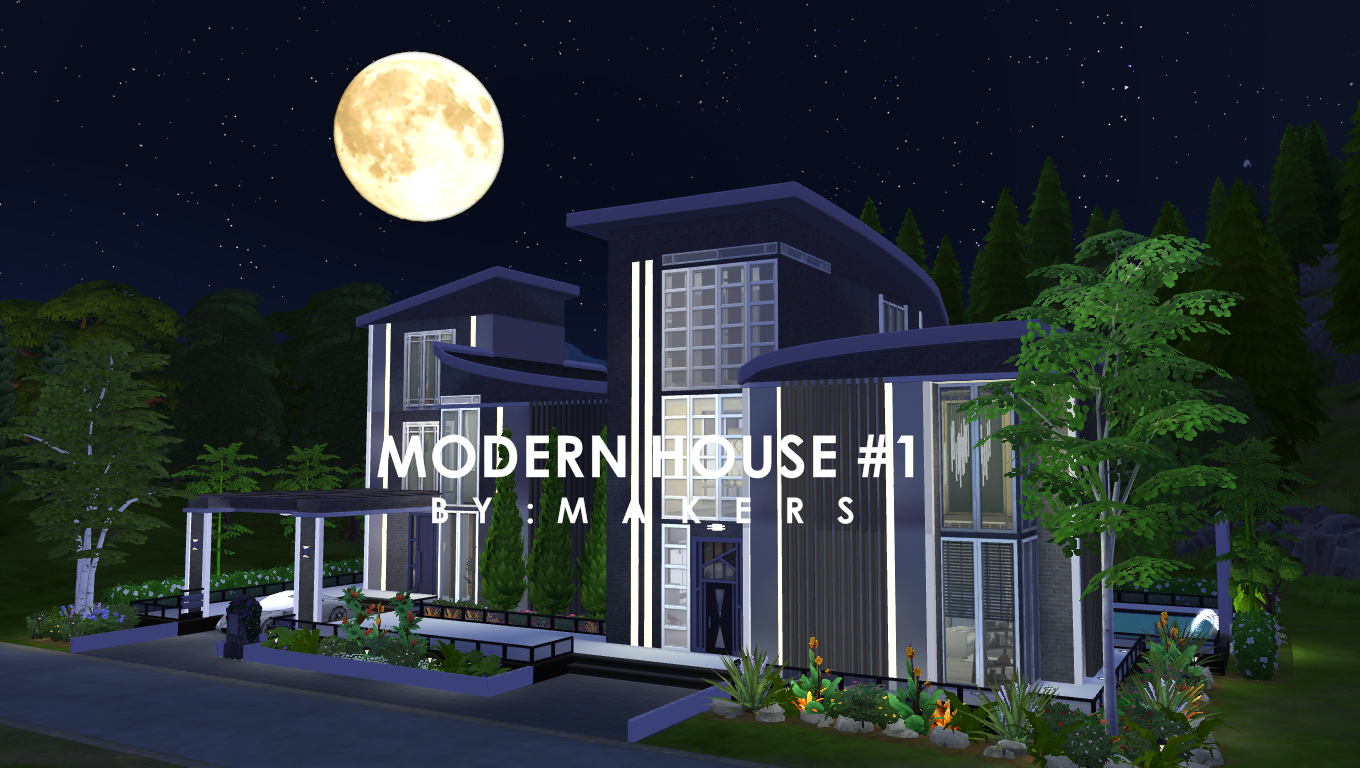 Modern House 1