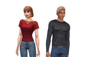 Sims couple