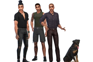 Les frères Lil (célébrités)