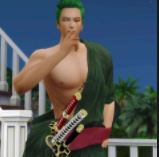 Sanji e Zoro