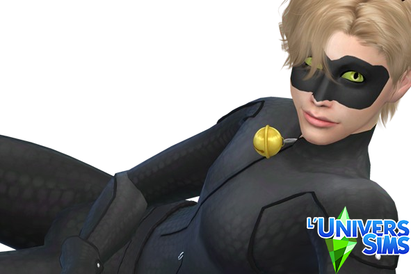 Chat Noir