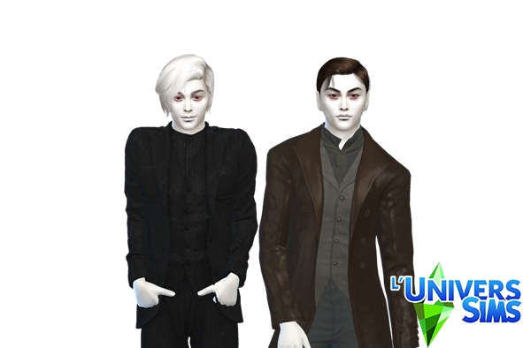The Romanian Coven (Twilight Saga)
