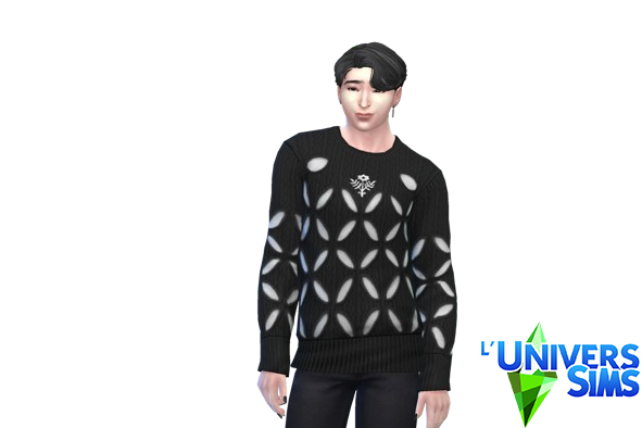 Sims homme (cc)