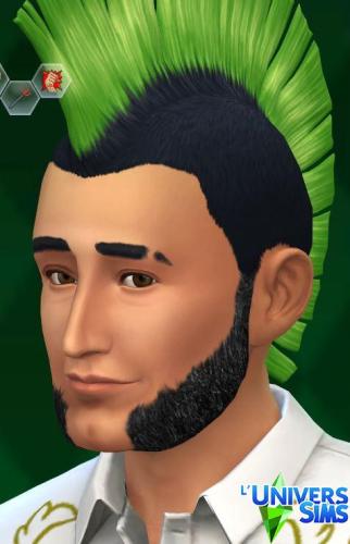 Plus d’informations sur «&nbsp;Barbes "Rock'n Roll" (Patte ou Rouflaquette)&nbsp;»