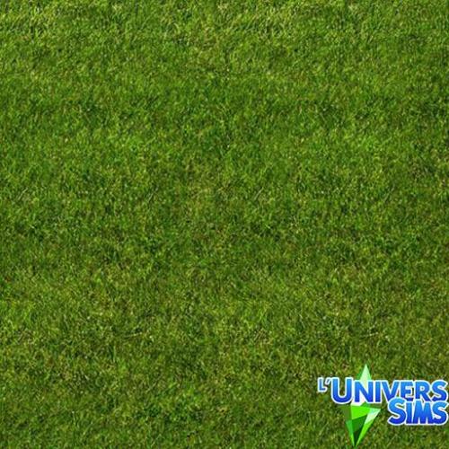 Plus d’informations sur «&nbsp;Herbes 01&nbsp;»