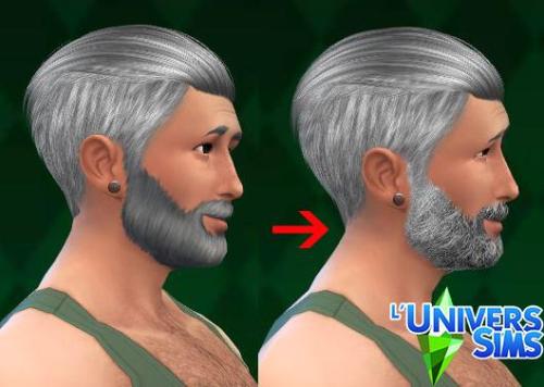 Plus d’informations sur «&nbsp;Barbes&nbsp;»