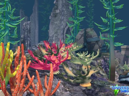 Plus d’informations sur «&nbsp;[Zone de Plongée] Sur les traces de l'Atlantide&nbsp;»