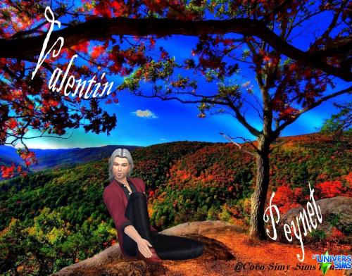 Plus d’informations sur «&nbsp;Romantic Man-Valentin Peynet&nbsp;»