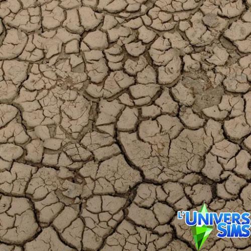 Plus d’informations sur «&nbsp;Terre sèche&nbsp;»