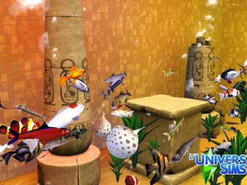 Plus d’informations sur «&nbsp;[Lieu de détente]Sea Life&nbsp;»