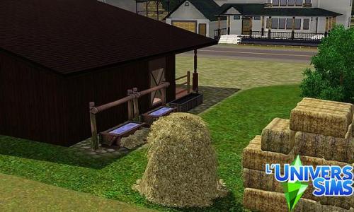 Plus d’informations sur «&nbsp;OK Coral&nbsp;»