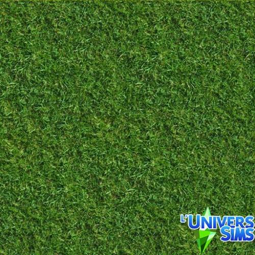 Plus d’informations sur «&nbsp;Herbes 02&nbsp;»