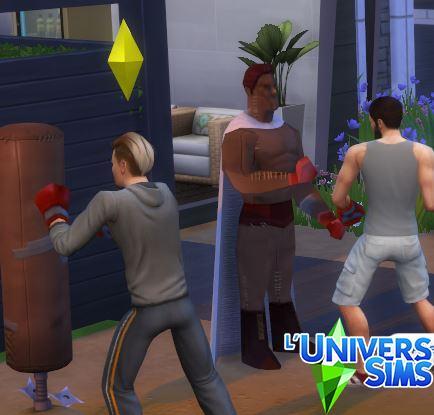 Plus d’informations sur «&nbsp;Sac Boxe Humanoïde&nbsp;»