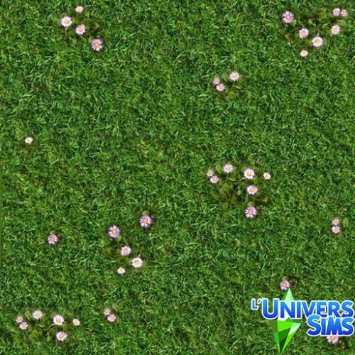 Plus d’informations sur «&nbsp;Herbes et fleurs&nbsp;»