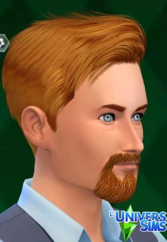 Plus d’informations sur «&nbsp;Barbes (boucs homme)&nbsp;»