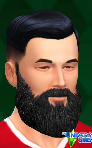 Plus d’informations sur «&nbsp;Longues Barbes&nbsp;»