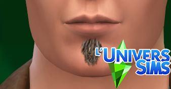 Plus d’informations sur «&nbsp;Barbes "Soul Patch"&nbsp;»