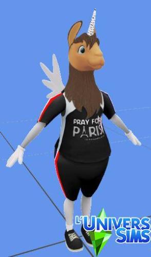 Plus d’informations sur «&nbsp;Mascotte PRAY FOR PARIS&nbsp;»