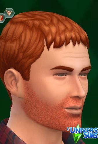 Plus d’informations sur «&nbsp;Barbes d'un jour&nbsp;»