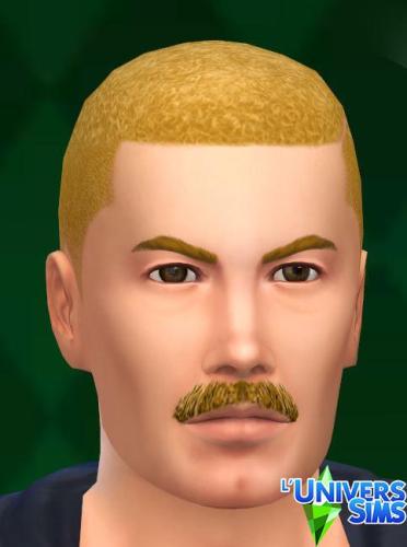 Plus d’informations sur «&nbsp;Moustaches&nbsp;»