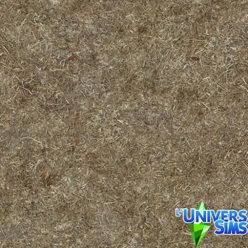 Plus d’informations sur «&nbsp;Herbes 04&nbsp;»