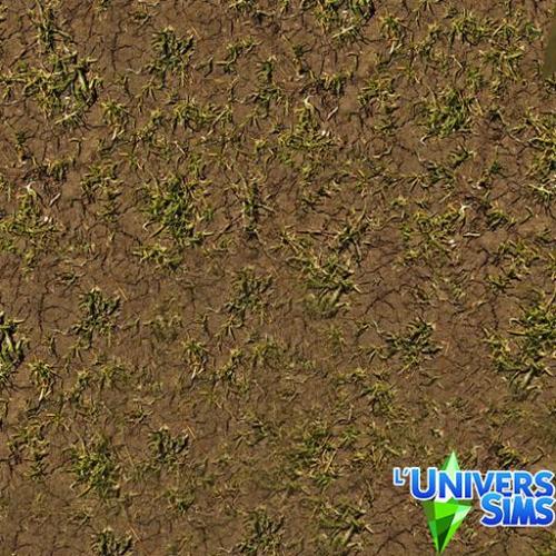 Plus d’informations sur «&nbsp;Herbes 06&nbsp;»