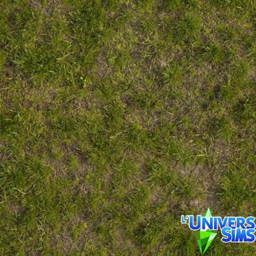 Plus d’informations sur «&nbsp;Herbes 05&nbsp;»