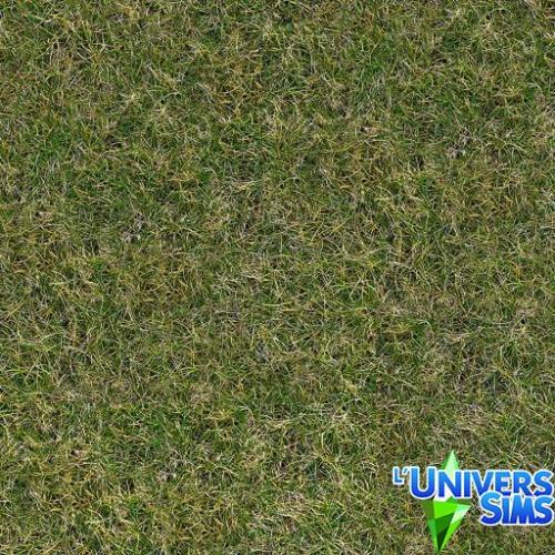 Plus d’informations sur «&nbsp;Herbes 03&nbsp;»