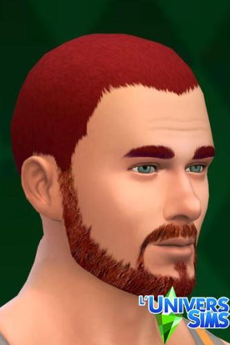 Plus d’informations sur «&nbsp;Barbes&nbsp;»