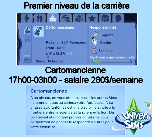 01erniveaucartomancienne