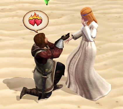 demander en mariage 10