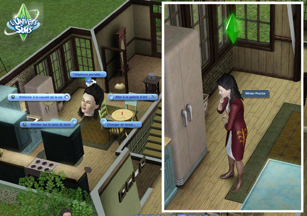 Sims3-Super-Pouvoir- Fanday Lyon - Interactions - reflechir au sens