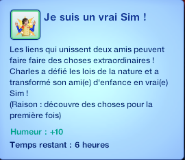 vraisim