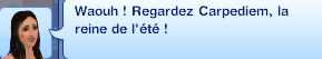 Sims-3-saisons-cabine-bronzage-message 4