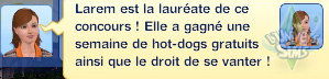 Sims-3-saisons-festival-concours-mangeur-de-hamburger-message