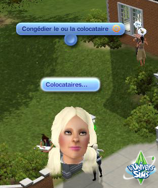 Sims-3-Universite-se-loger-colocataires-2