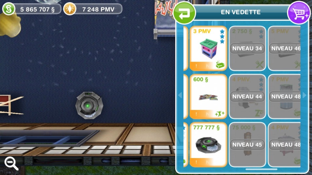 Sims Gratuit nettoyeur